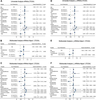 Prognostic Value of mRNAsi/Corrected mRNAsi Calculated by the One-Class Logistic Regression Machine-Learning Algorithm in Glioblastoma Within Multiple Datasets